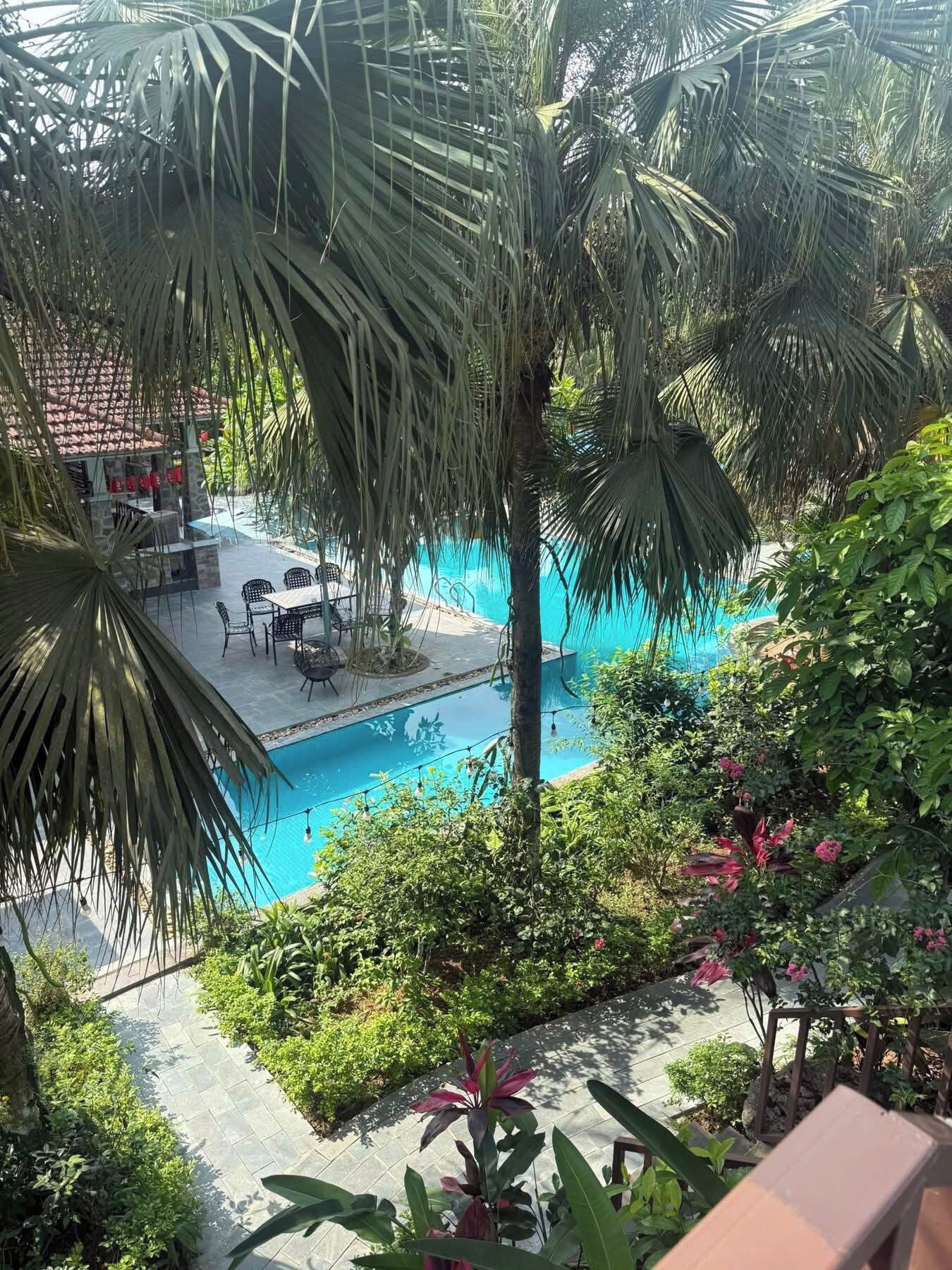 A pool area with a table and chairs, surrounded by palm trees and greenery.