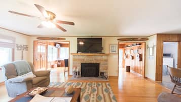 TV, fireplace, DVD player