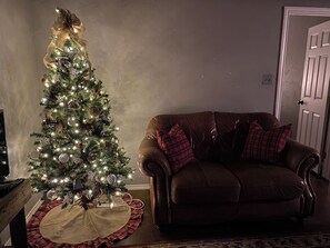 Smart TV, DVD player, video library