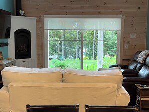 Smart TV, chimenea, reproductor de DVD y libros 