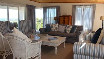 Télévision, cheminée, lecteur de DVD, table de tennis de table