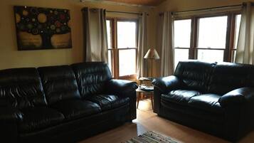 TV, fireplace, DVD player