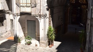 A narrow alleyway with a door, potted plants, and a large tree. - Elegant And Spacious Apartment In The Very Historical Centre Of Naples (Napoli)