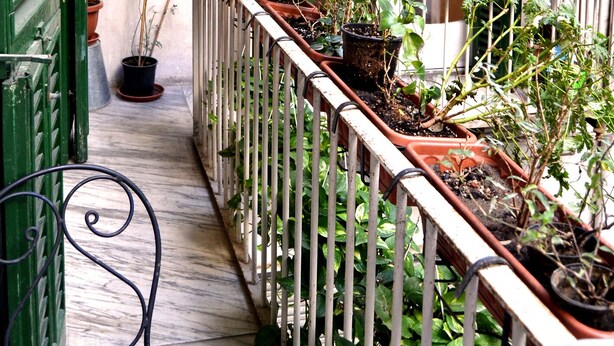 A narrow balcony with green shutters, potted plants, and a white railing. - Elegant And Spacious Apartment In The Very Historical Centre Of Naples (Napoli)