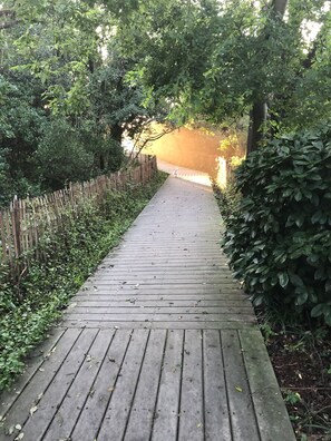 A wooden pathway surrounded by dense greenery, leading to a covered area.
