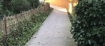 North End Beach Cottage Apartment - One block from beach