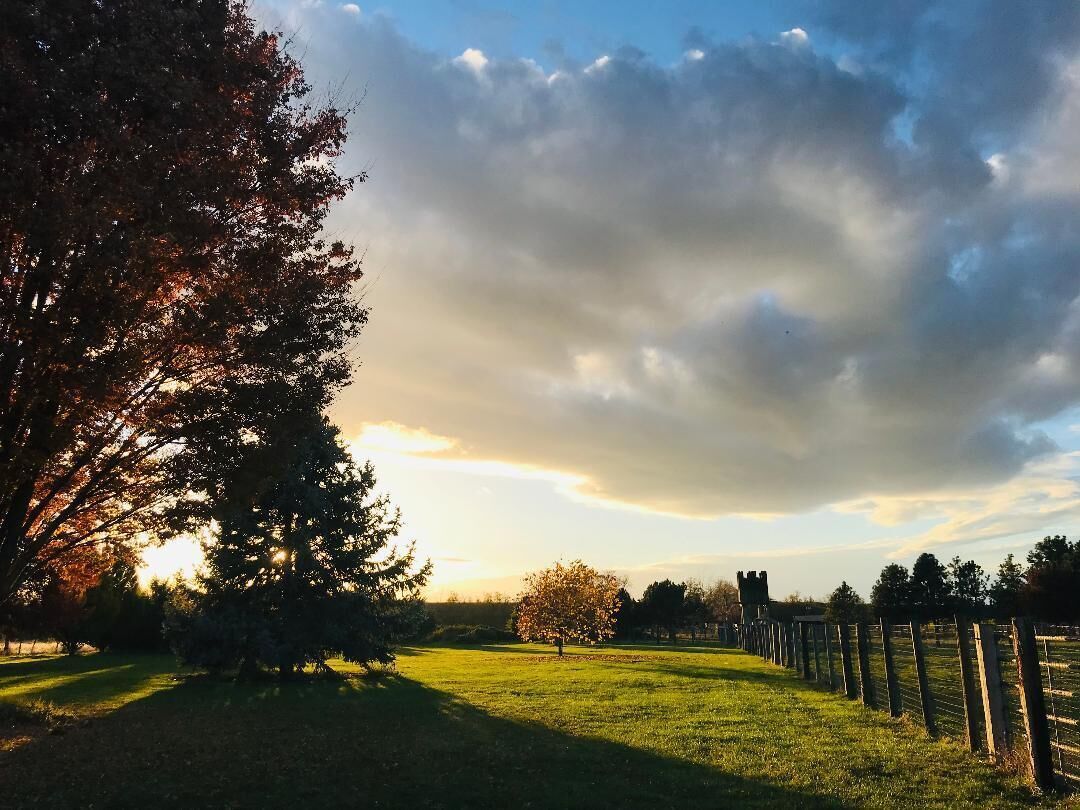 Un paysage rural avec un grand arbre, une clôture et un bâtiment situé au loin.