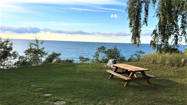 A picnic table on a grassy area with a view of the sea. - Cute Lakefront Cottage on Lake Michigan.   (Mears)