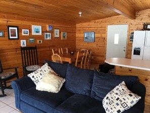TV, DVD player, books, video library - Cute Lakefront Cottage on Lake Michigan.   (Mears)