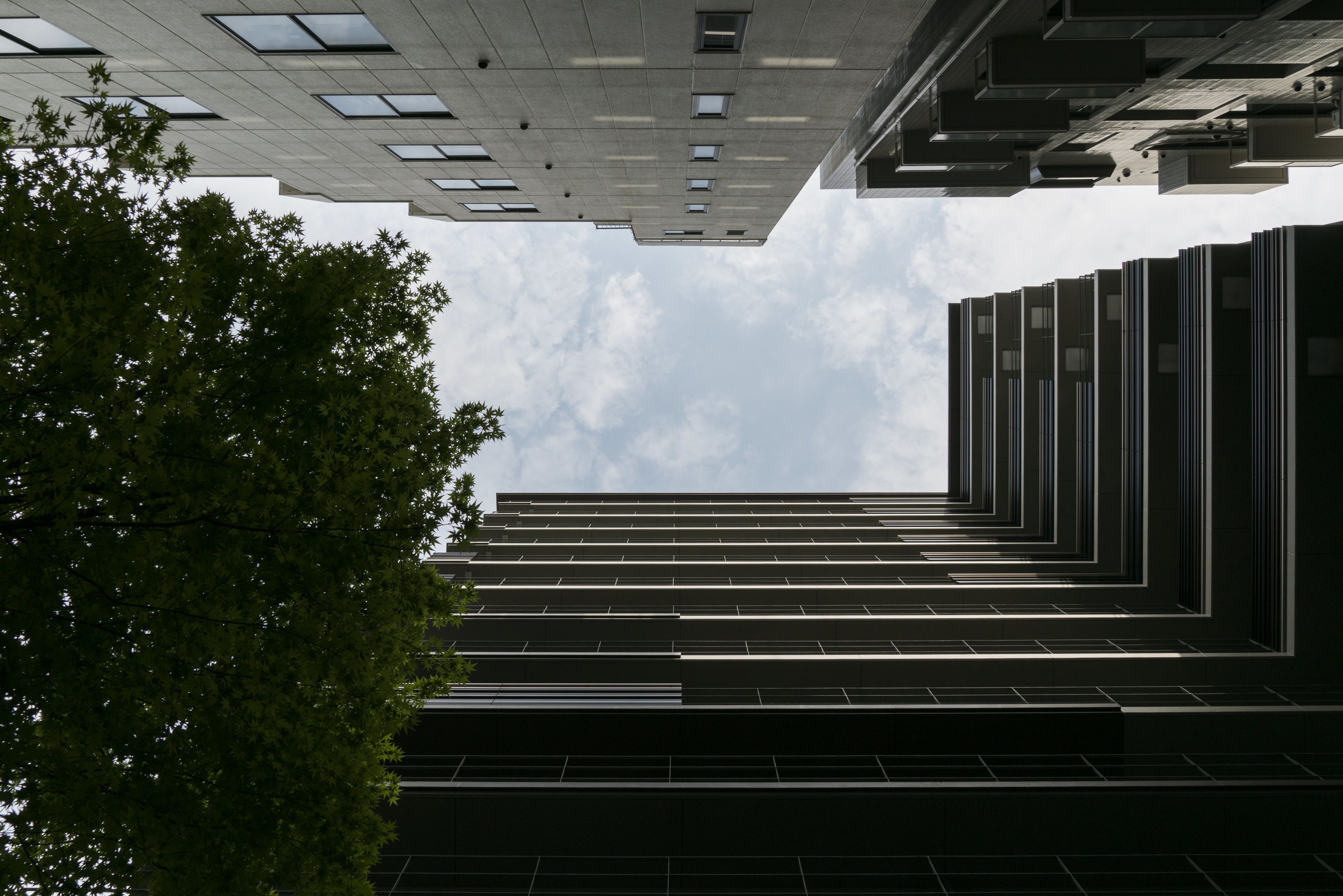 Foto - Bespoke Hotel Shinsaibashi