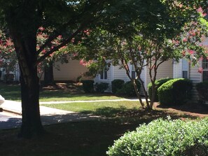 Stroll through a serene residential area surrounded by mature trees and a beautifully manicured lawn.