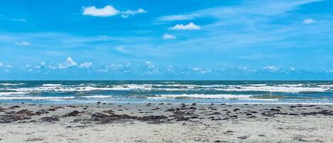 Plage à proximité, chaises longues, serviettes de plage