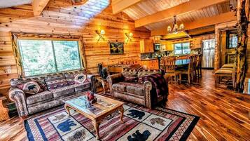 TV, fireplace, DVD player