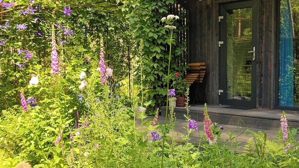 Un jardin agrémenté de différentes sortes de fleurs et d’un banc en bois.