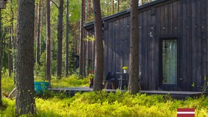 Une cabane en bois située dans une forêt, avec une terrasse, une chaise et une table sur laquelle est posée une plante en pot.