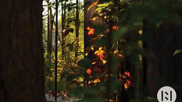 DĂ©tail de lâextĂ©rieur