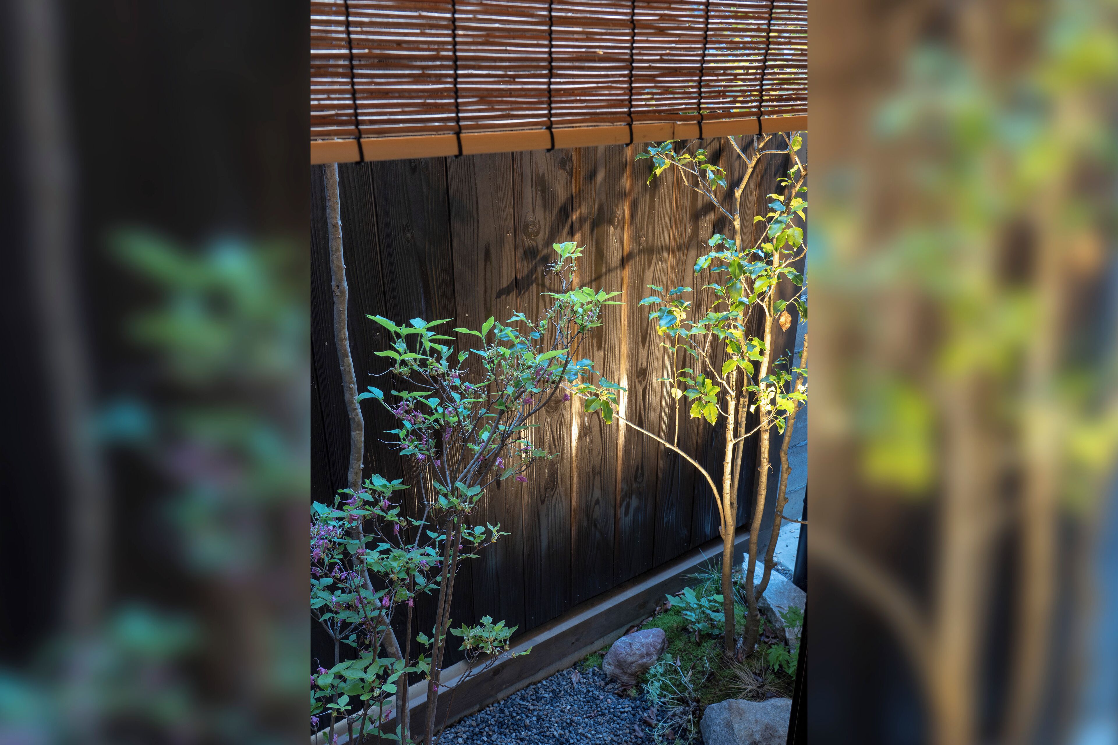 A wooden fence with a small garden area, including a tree and some shrubs.
