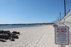 Beach nearby, sun-loungers, beach towels - Walk to the  beach at Black Point, Niantic, Ct. (Niantic)