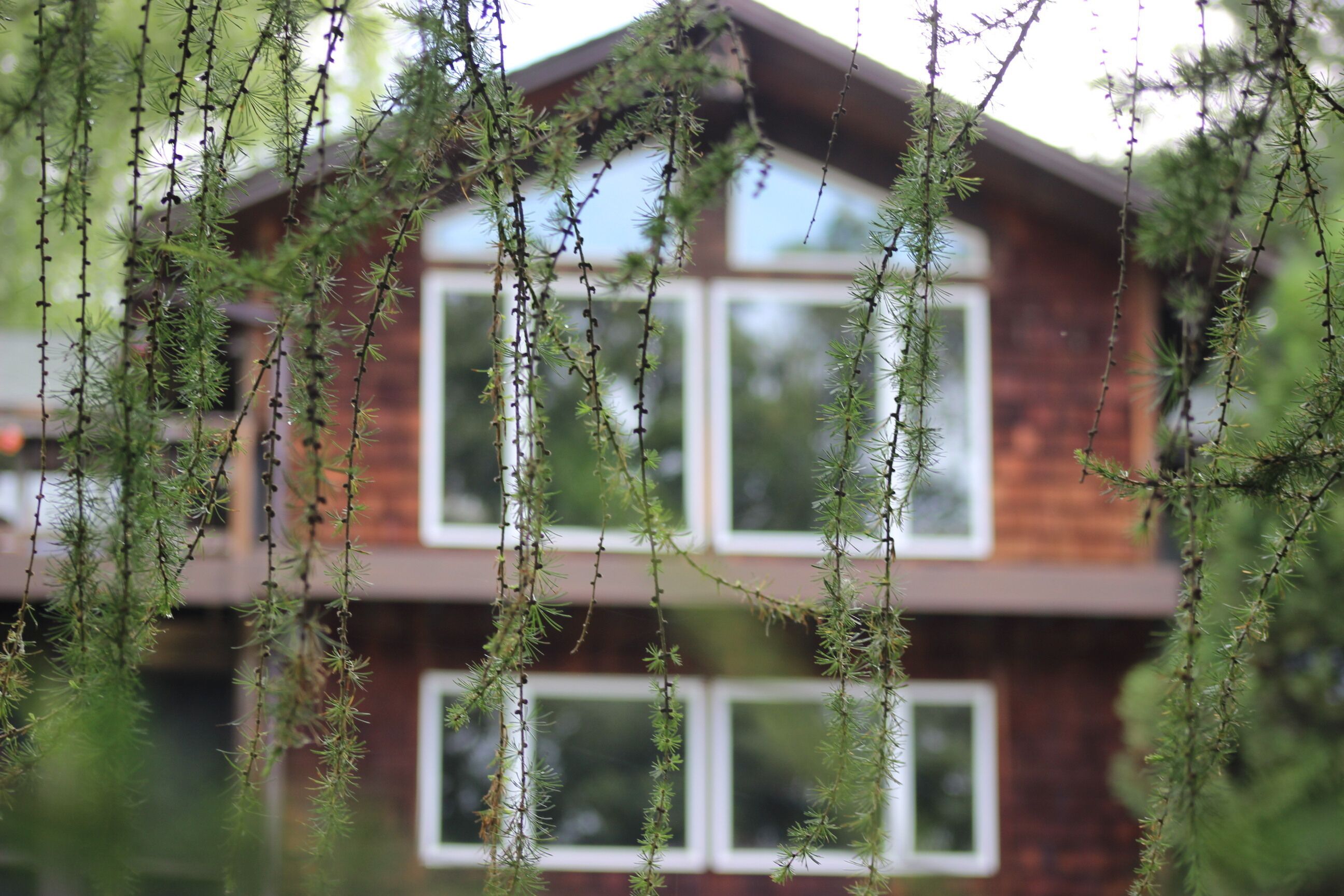 Vitae Woodland Retreat