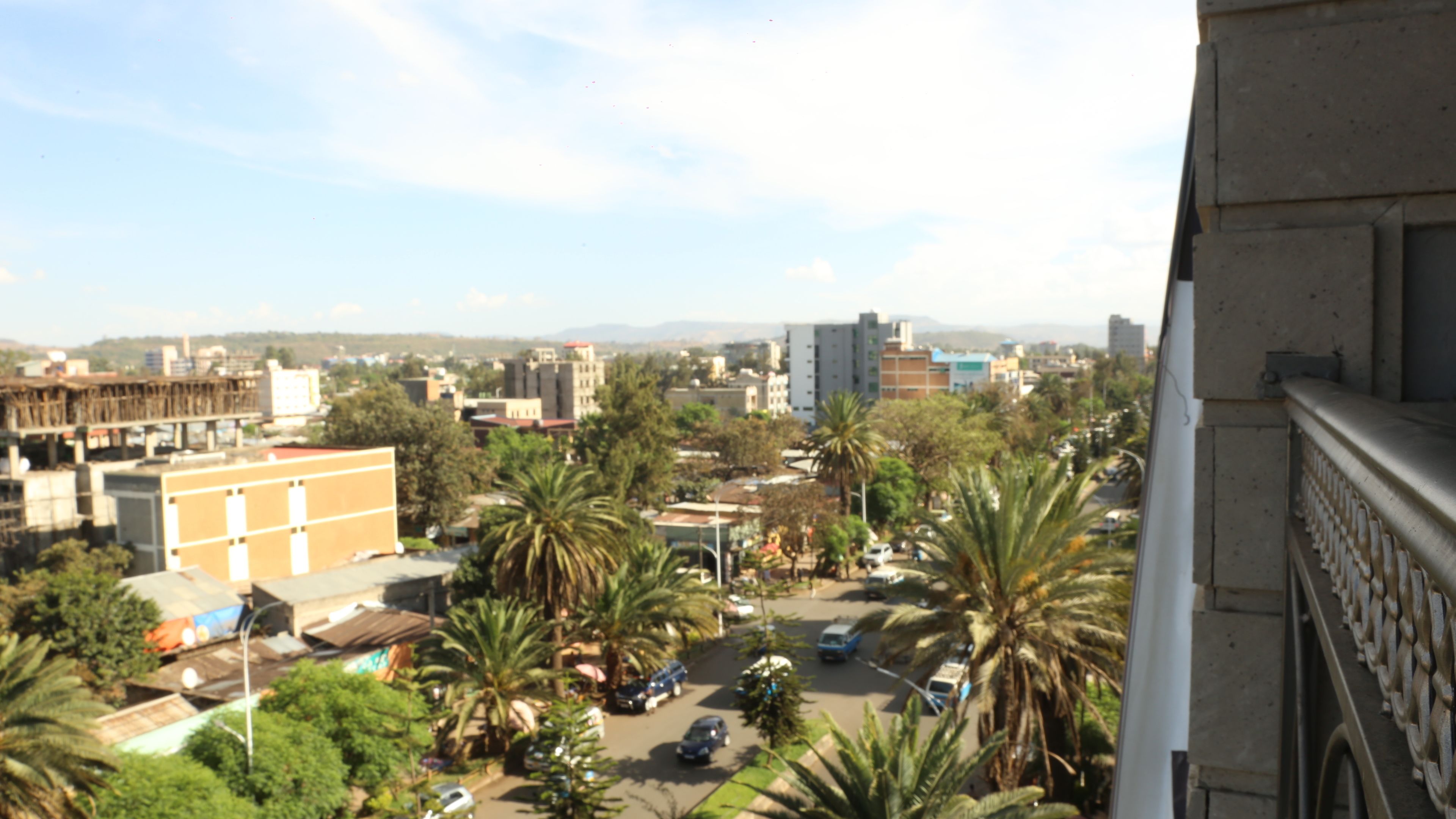 A cityscape with buildings, palm trees, and parked cars.