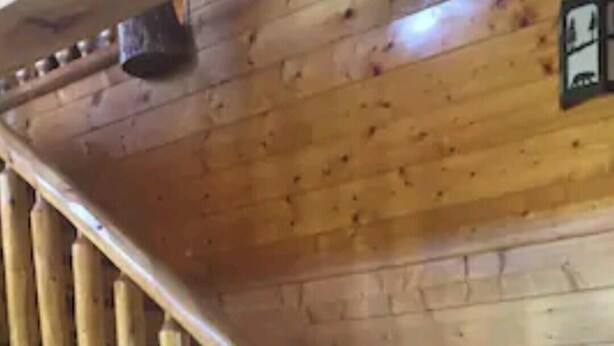 A wooden staircase with a unique carved handrail and a rustic wooden wall. - LOG HOME CANINE RETREAT (Pyatt)