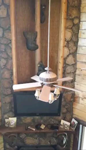Television
