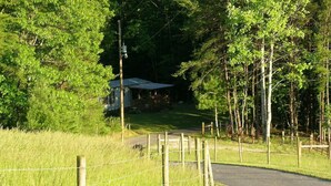 A rural setting with a wooden fence, a paved path, and a house surrounded by trees. - Wolf Creek Farm ~ For a 'Howling' Good Time! (Ararat)