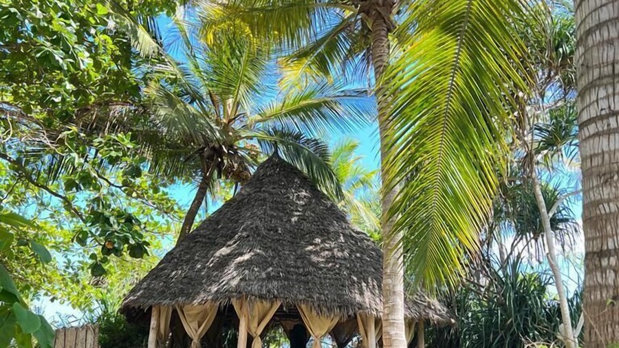 Zanzibar Pearl Boutique Hotel & Villas