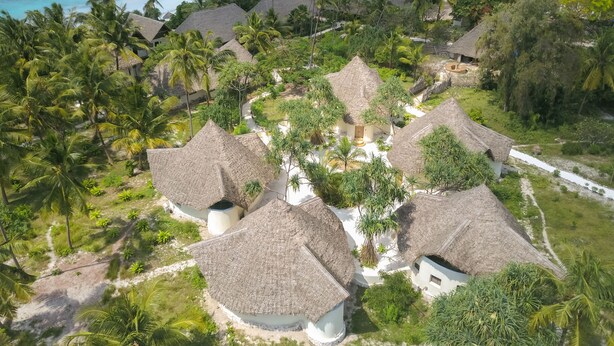 An aerial view of a resort with thatched-roof cottages surrounded by lush greenery and palm trees.