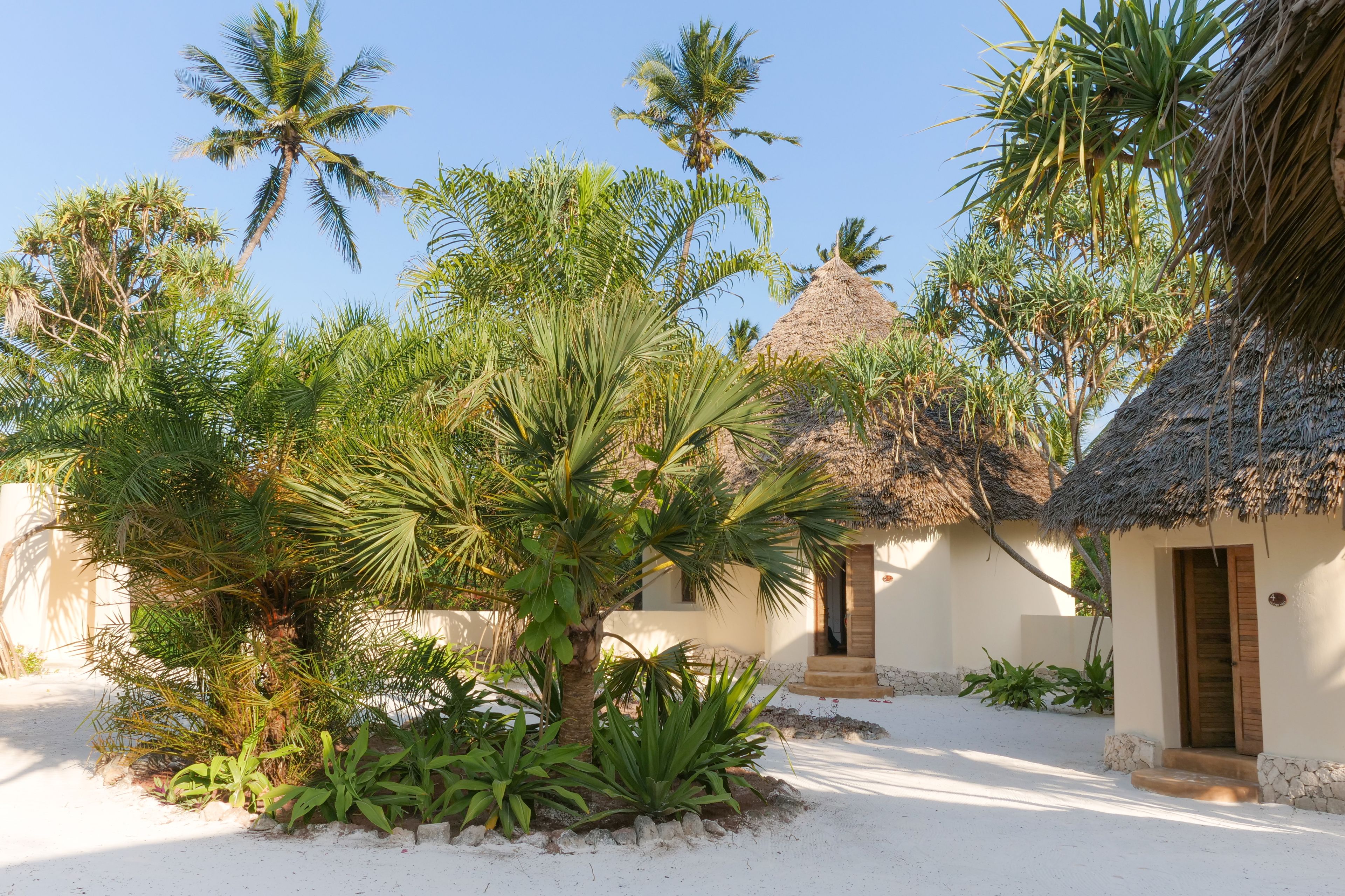 Un resort tropical con palmeras, una cabaña de techo de paja y un edificio de paredes blancas.