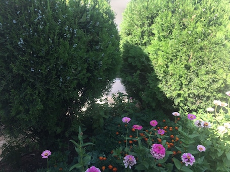 Jardín
