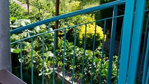 A wooden deck with a turquoise metal railing overlooking a garden with various plants and trees.