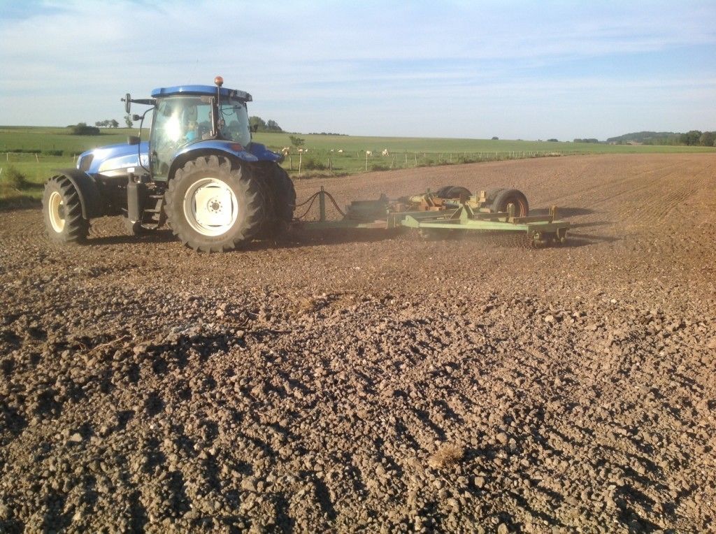 Een blauwe tractor met een ploeg in een veld.