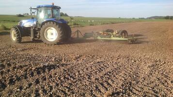 Een blauwe tractor met een ploeg in een veld.