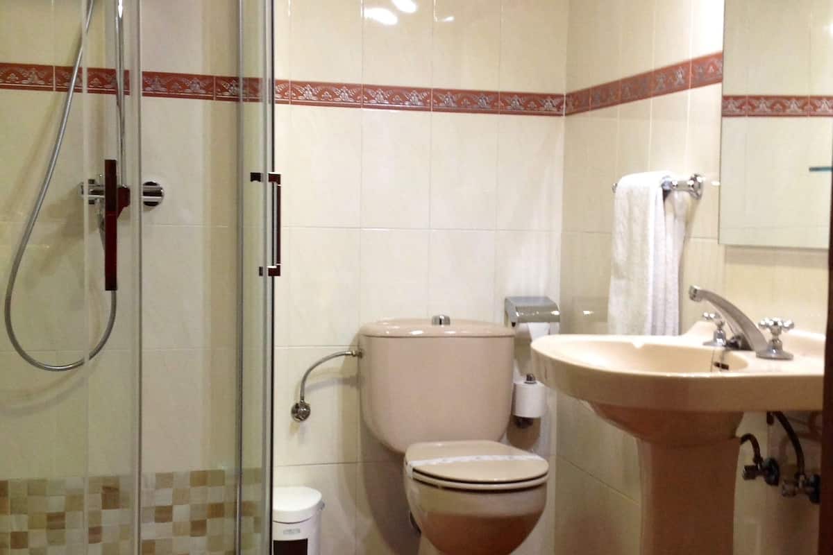 single room, non smoking | bathroom | shower, free toiletries, hair dryer, towels