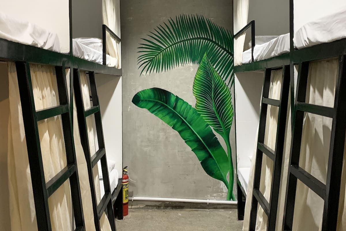 A narrow corridor with bunk beds on either side, a large green leaf mural on the wall, and an air conditioning unit above.