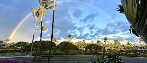 A park with palm trees and a rainbow.