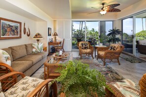 Smart TV, DVD player, books, music library