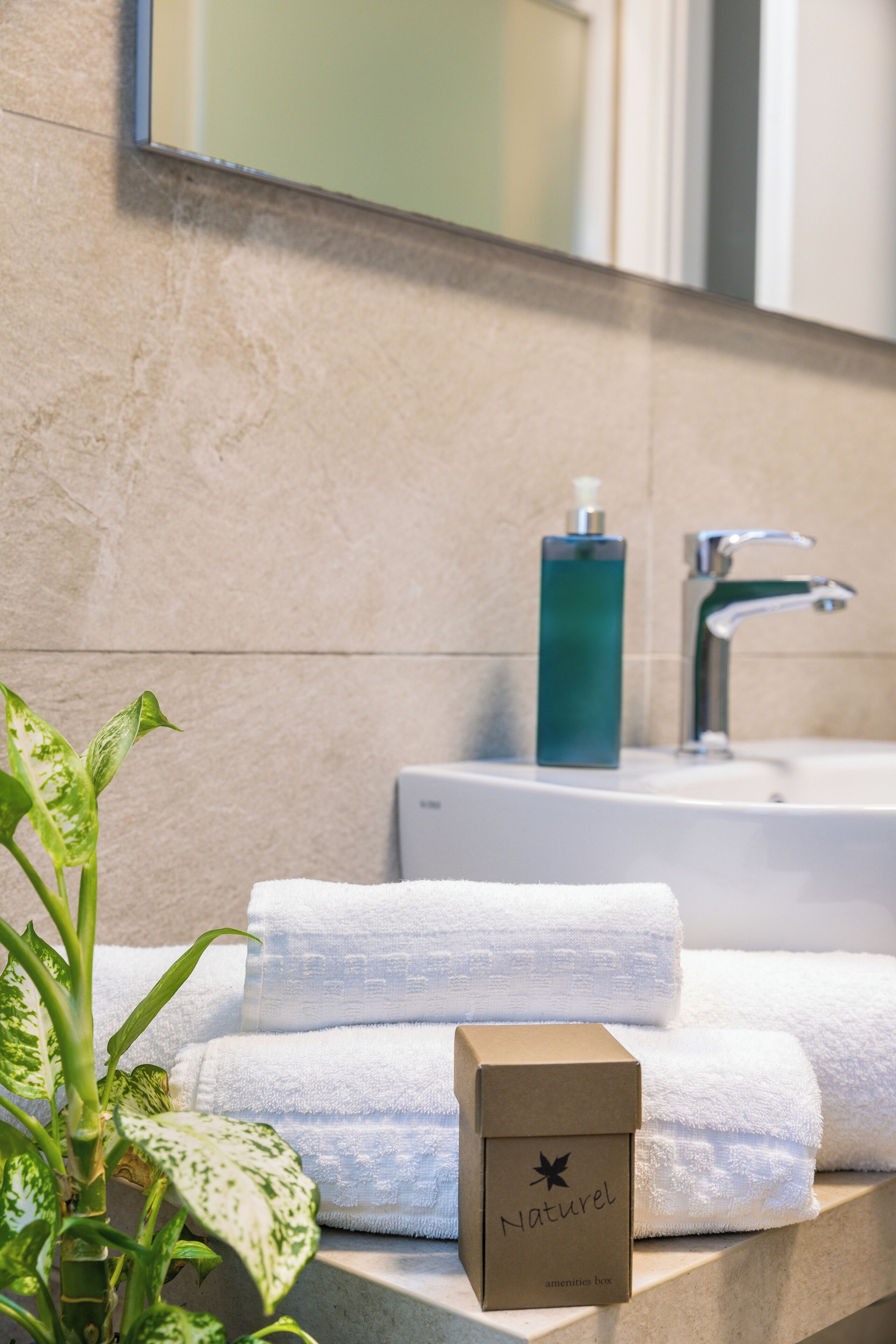 Photo - Martini Suite