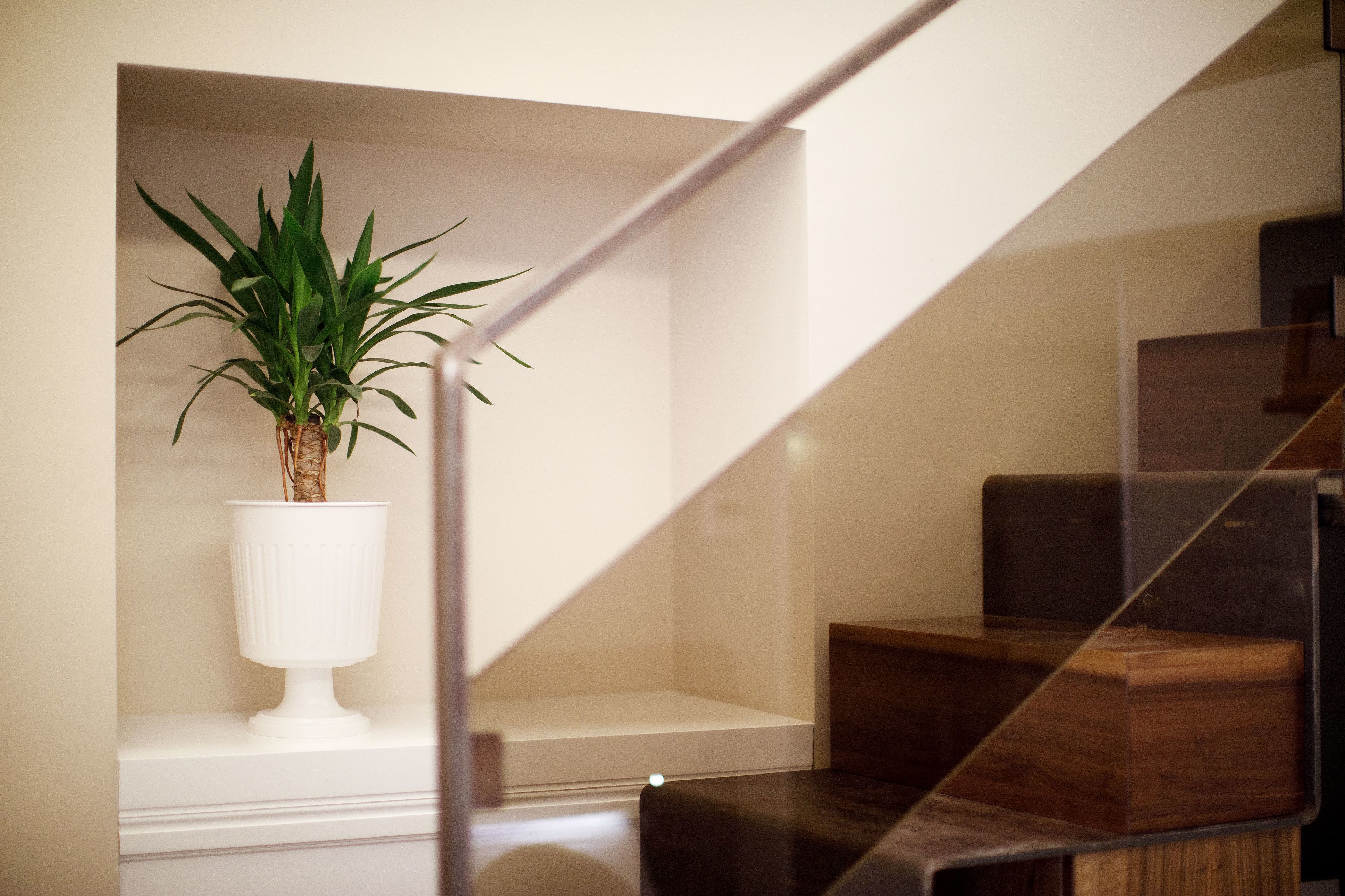 Una escalera con una pared blanca y una planta en el rellano.