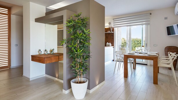 Una cocina moderna con encimera de madera, una planta grande en maceta y un comedor con mesa y sillas.