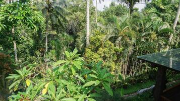 Villa - 2 soveværelser - udsigt til have | Udsigt fra værelset