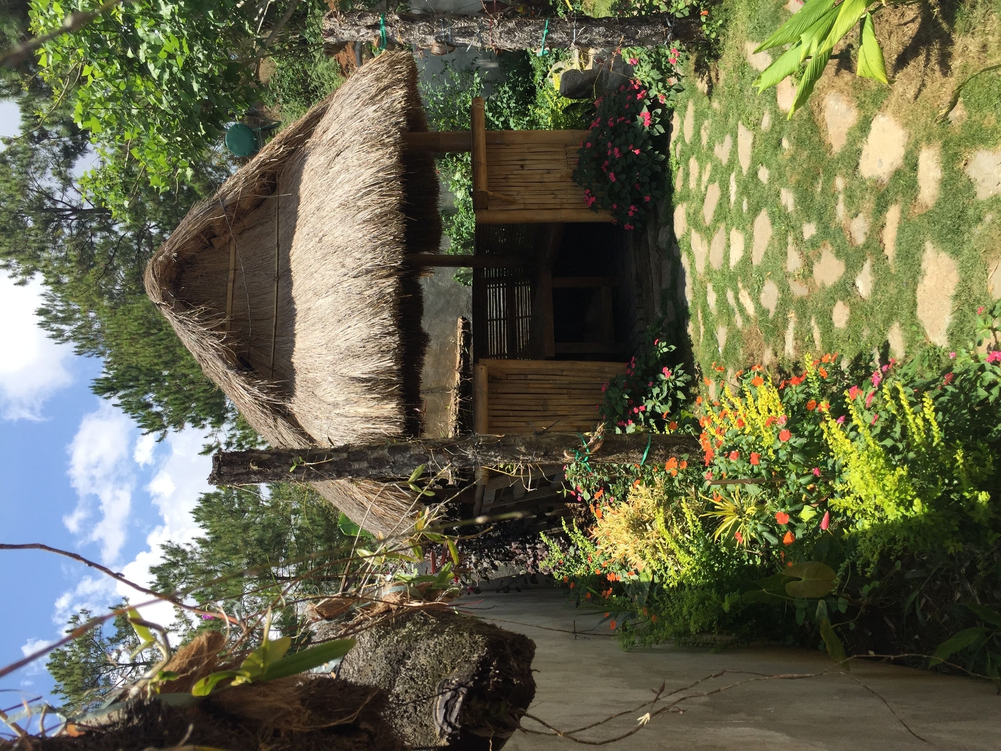 A rustic thatched-roof structure with a wooden door, surrounded by lush greenery and flowering plants.