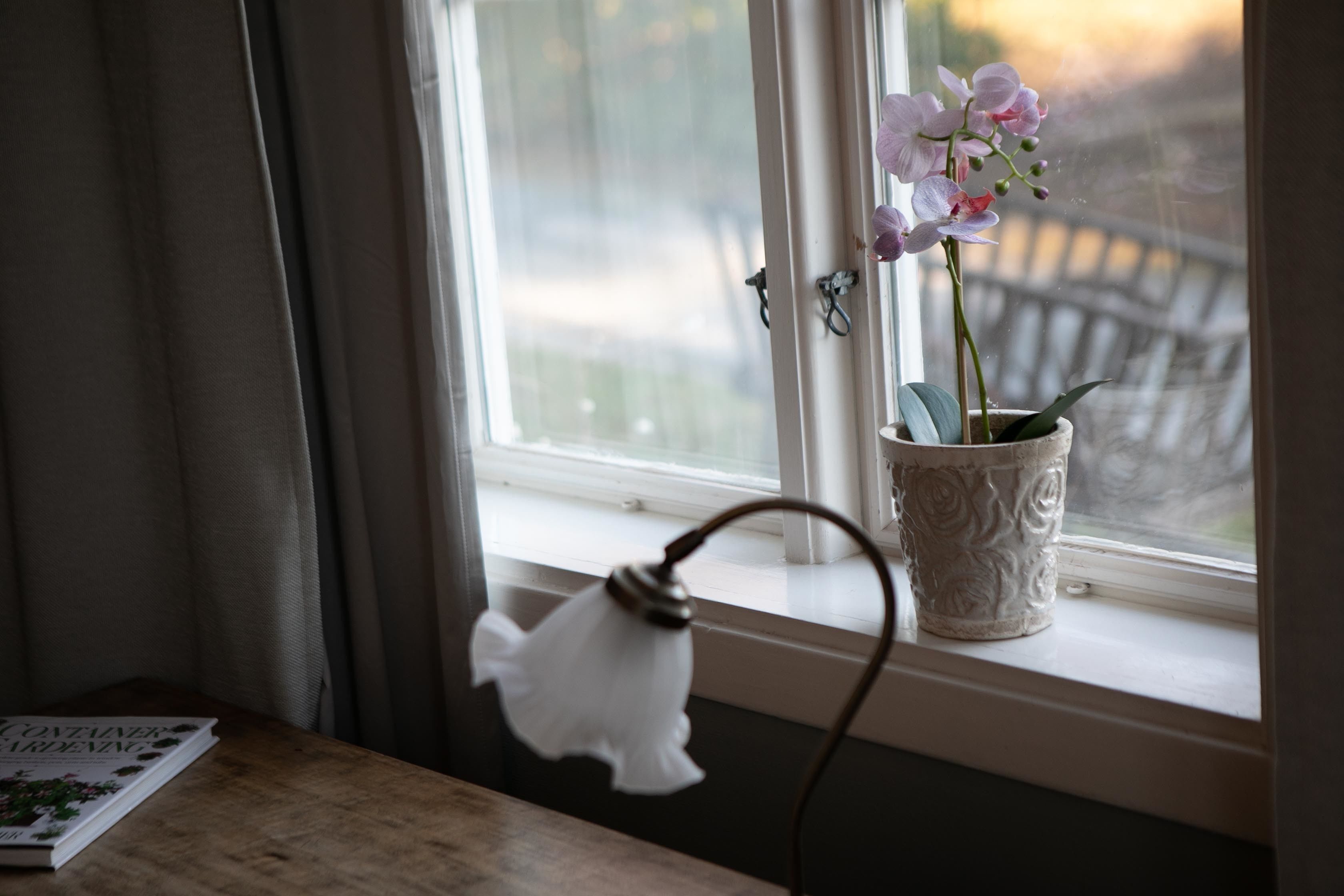 Una ventana con una maceta blanca y una lámpara colgante.