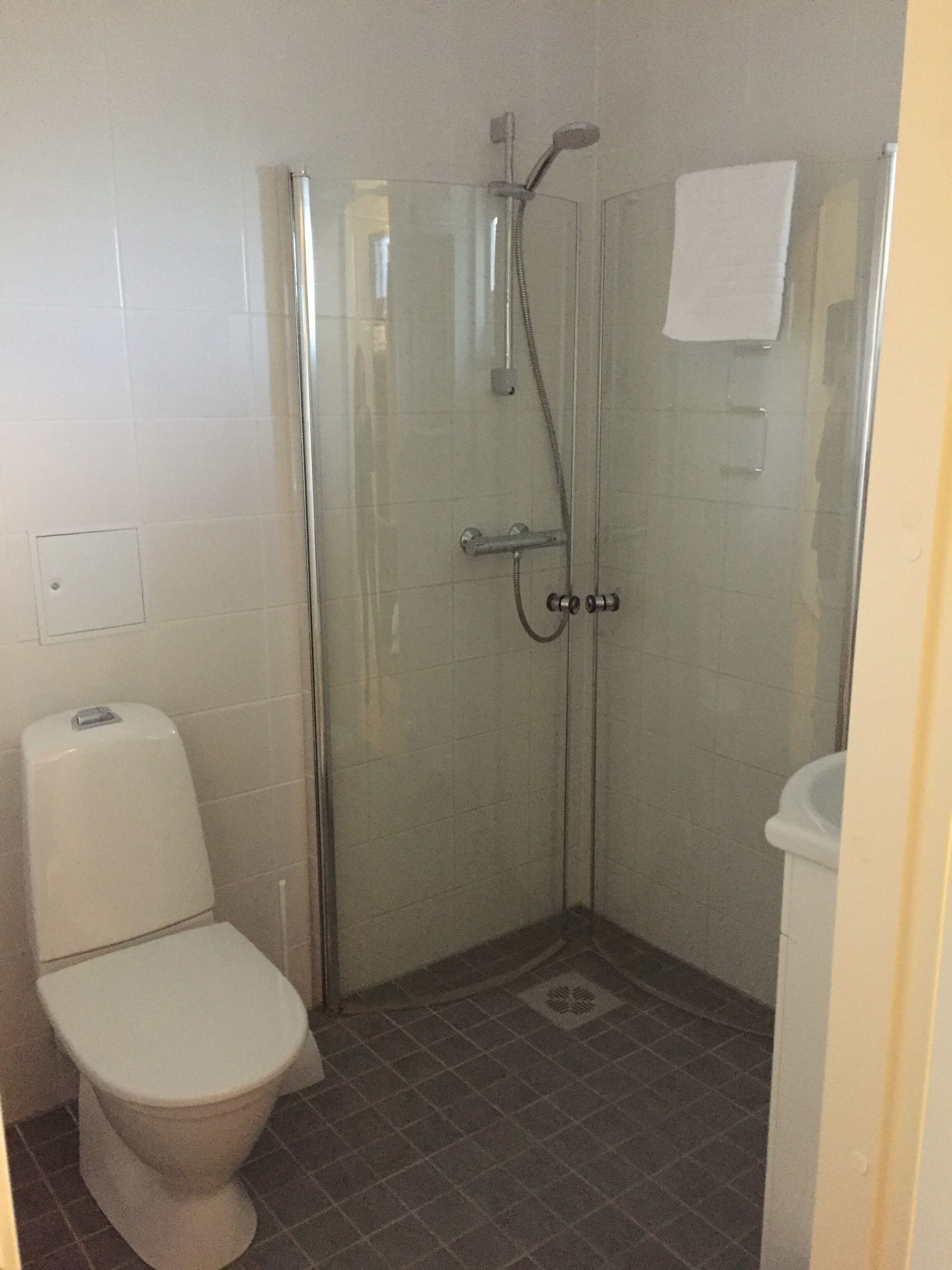 A small bathroom with a glass-enclosed shower, a toilet, and a sink.