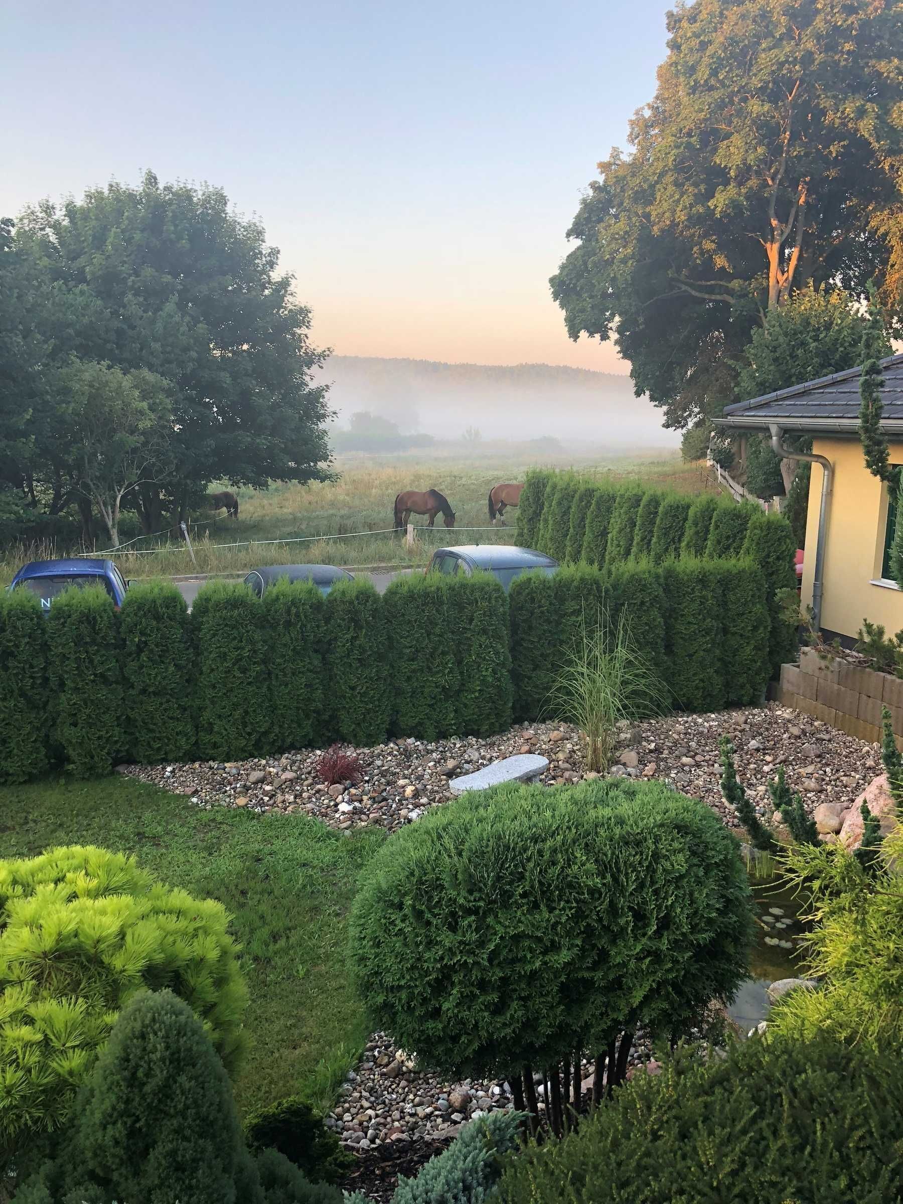 A landscaped garden with neatly trimmed hedges, a pebble pathway, and a small water feature.