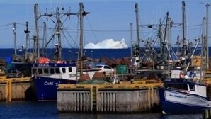 A harbor with multiple fishing boats docked at wooden piers.