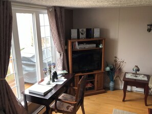 Smart TV, fireplace, video games, DVD player