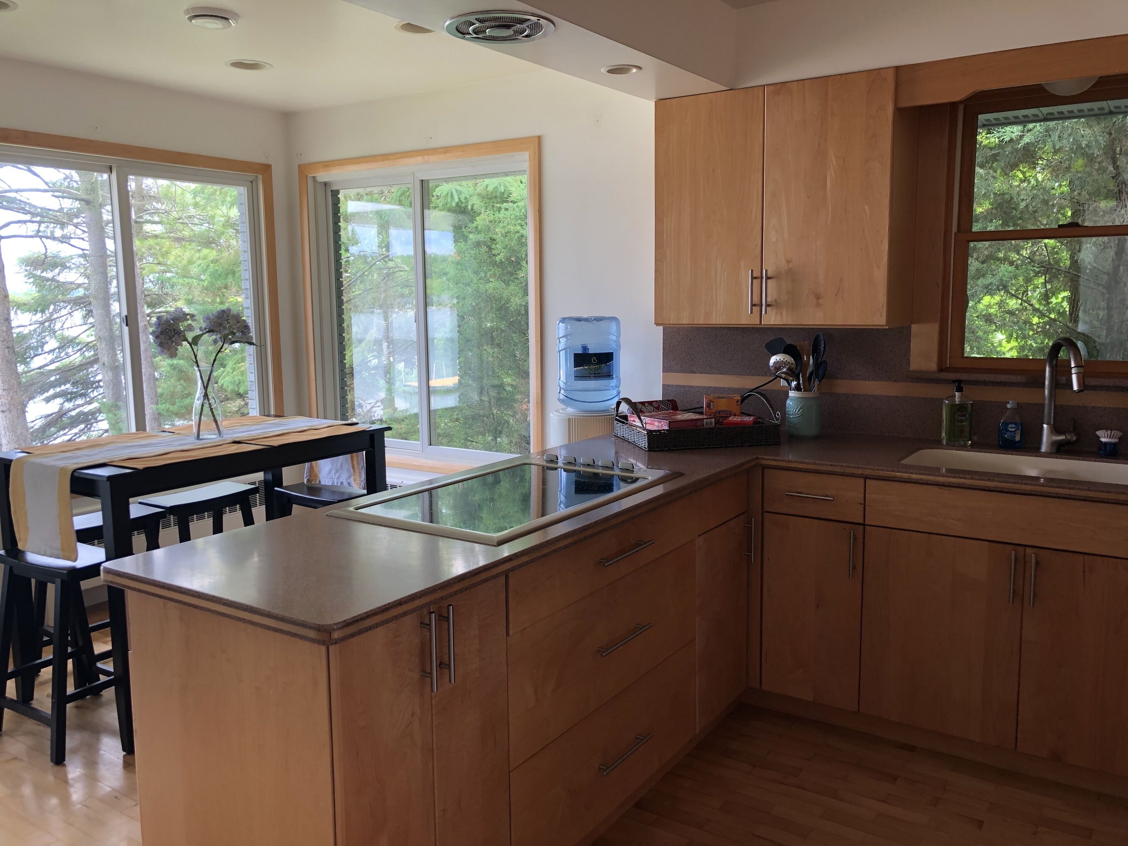 Beautiful views - 4 Bedroom Lakefront home on Lake Mary. 60 miles from Chicago. 