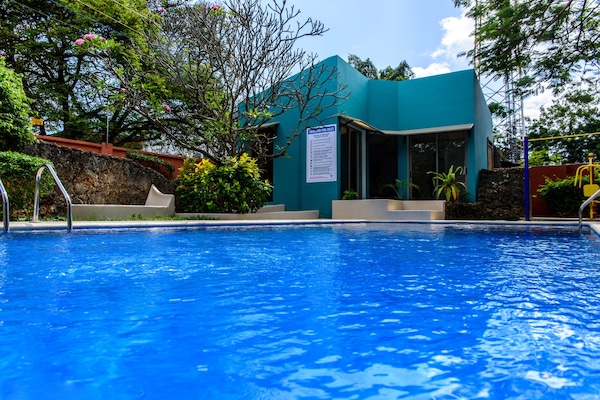 Piscine extérieure, chaises longues